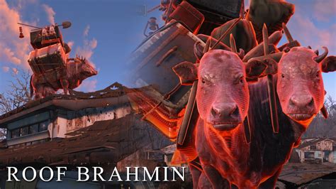 fallout 4 brahmin unassigned.